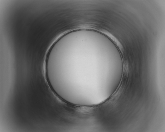 X0000102471294200808151420