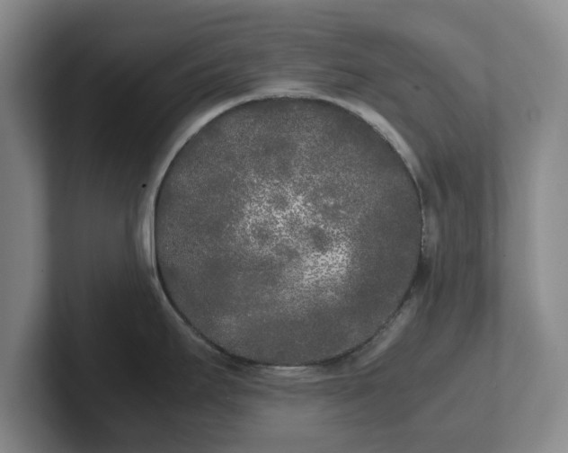 X0000102471295200808151420