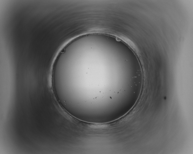 X0000102471296200808151420
