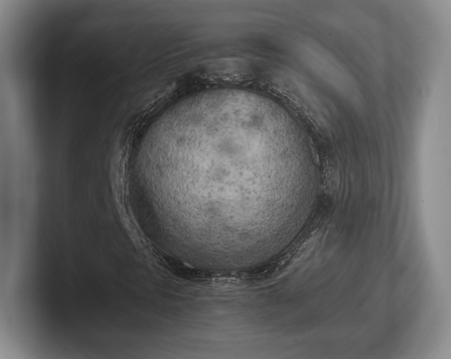 X0000102471297200808151420