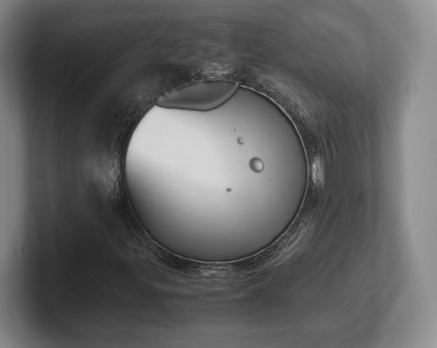 X0000102471299200808151420