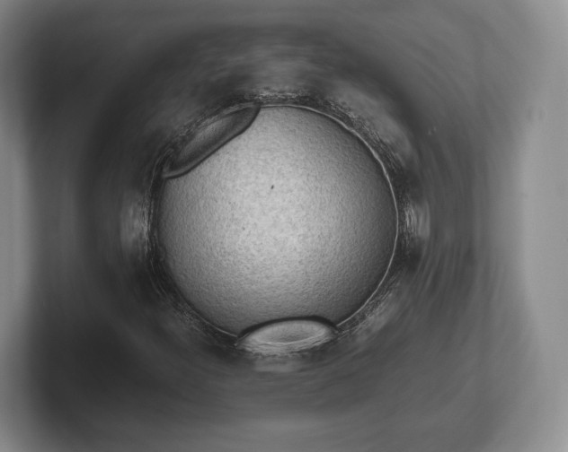 X0000102471300200808151420