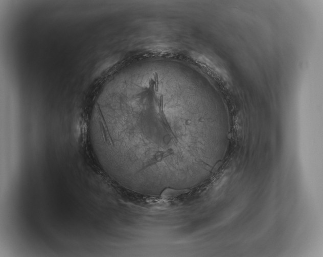 X0000102471302200808151420
