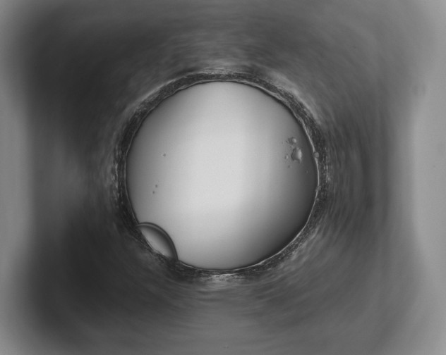X0000102471304200808151420