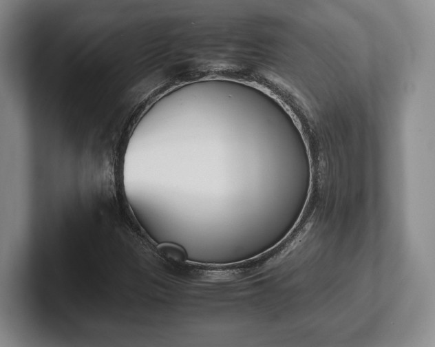 X0000102471305200808151420