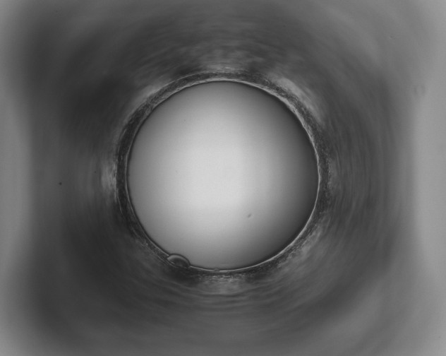 X0000102471307200808151420