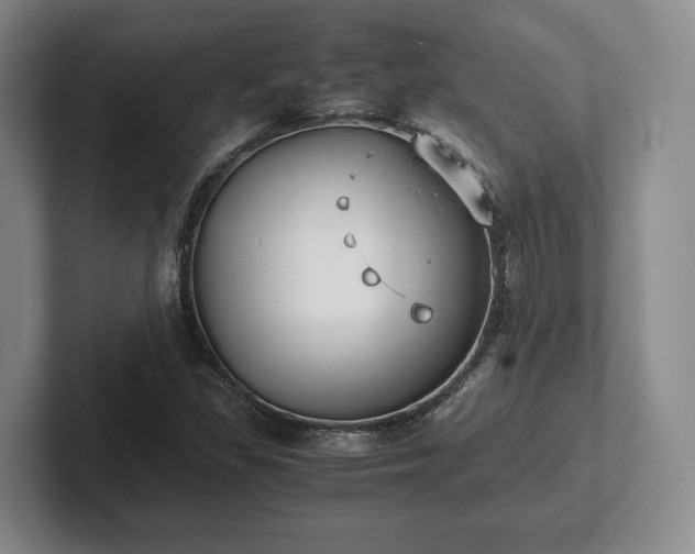 X0000102471309200808151420