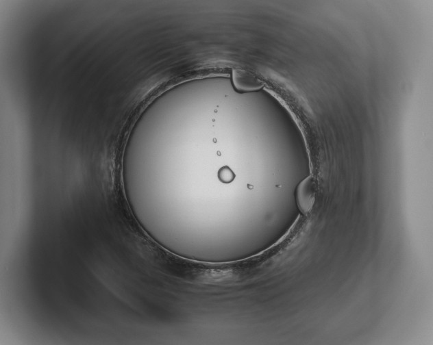 X0000102471313200808151420