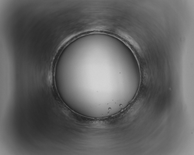 X0000102471316200808151420