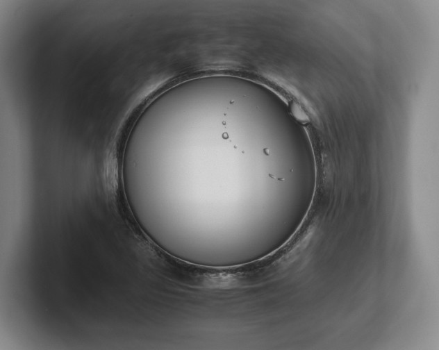 X0000102471317200808151420