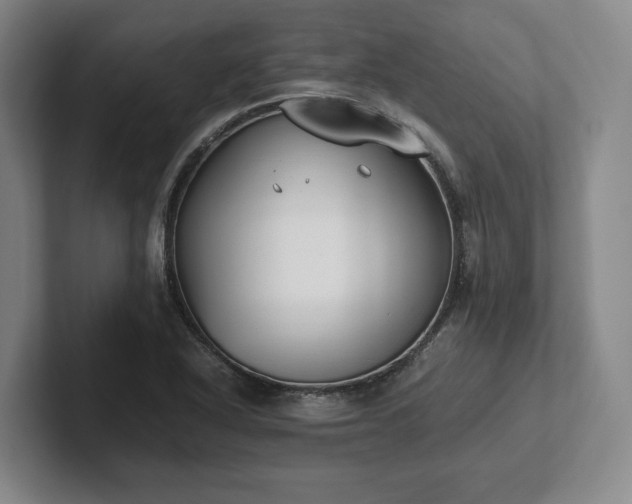 X0000102471318200808151420