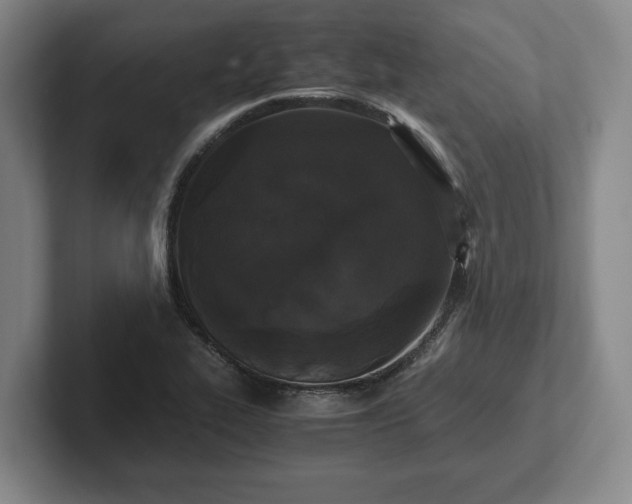 X0000102471319200808151420
