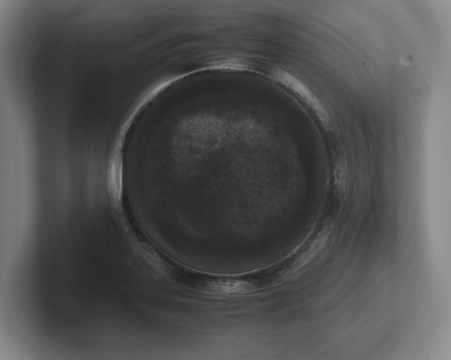 X0000102471323200808151420