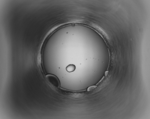 X0000102471324200808151420