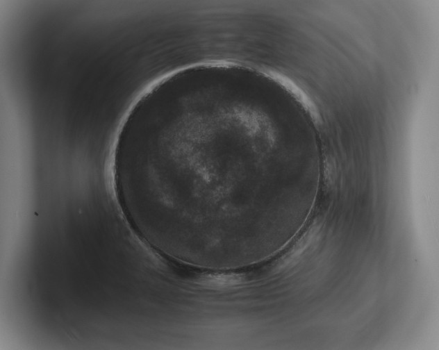 X0000102471327200808151420