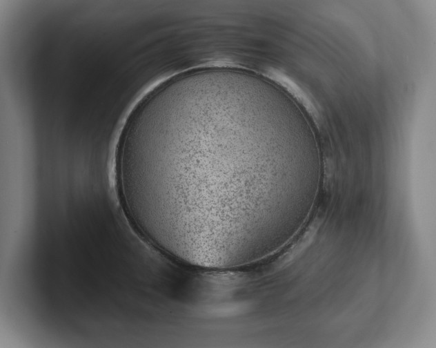 X0000102471331200808151420