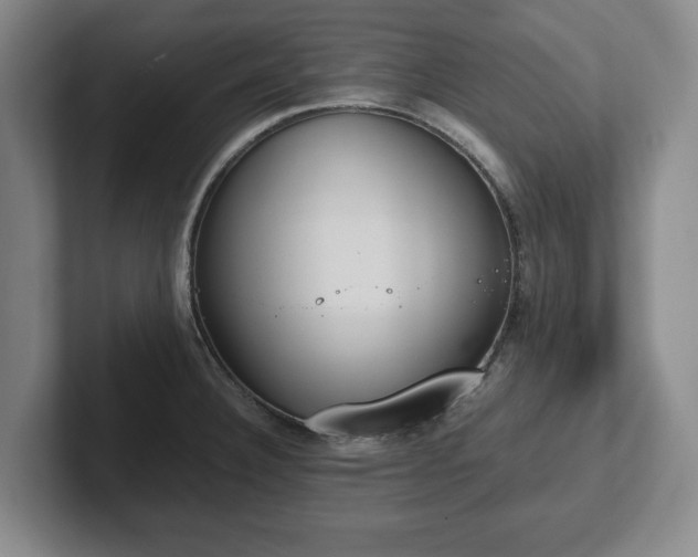 X0000102471332200808151420