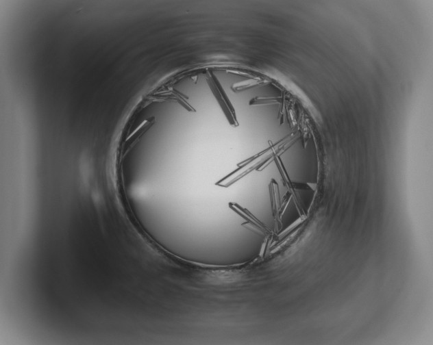 X0000102471333200808151420