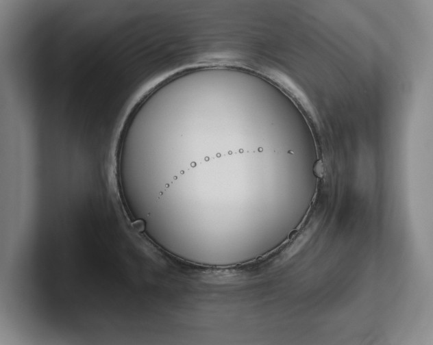 X0000102471336200808151420