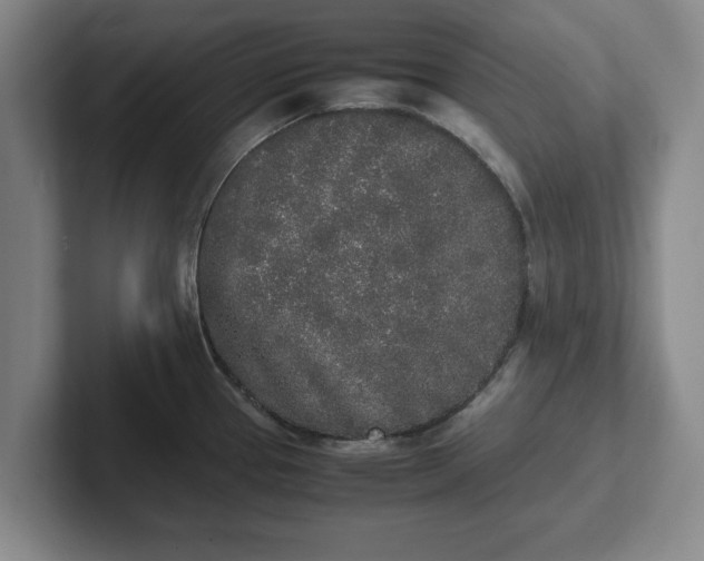 X0000102471337200808151420