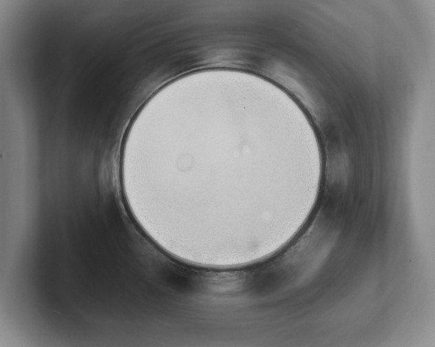 X0000102471338200808151420