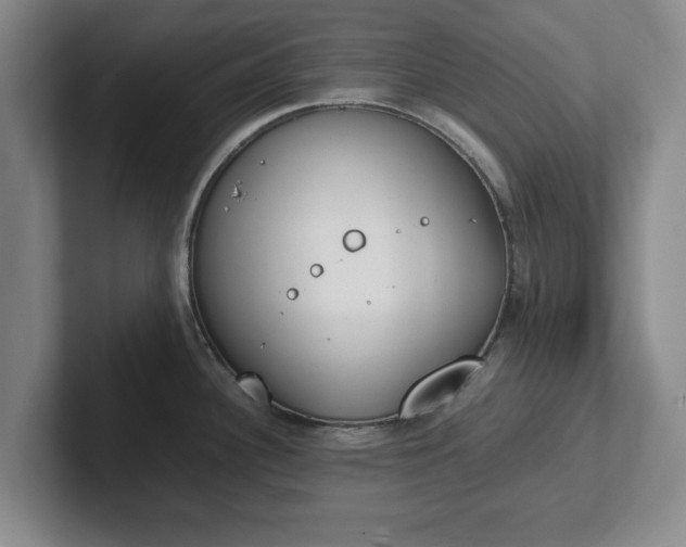 X0000102471340200808151420