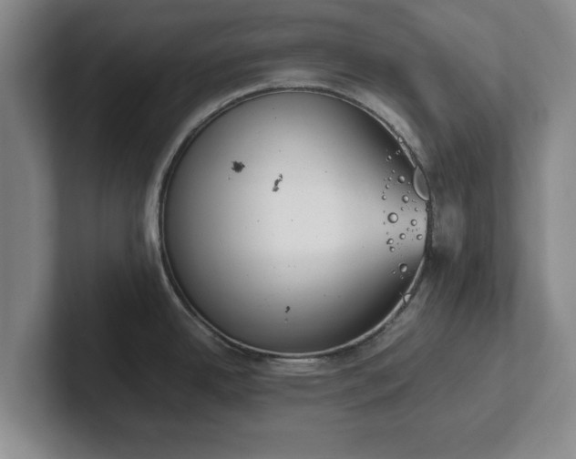 X0000102471342200808151420