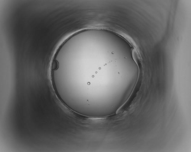 X0000102471344200808151420