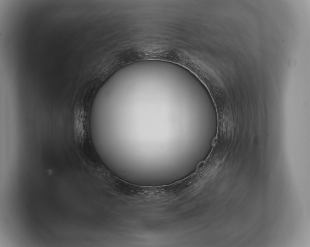 X0000102471346200808151419