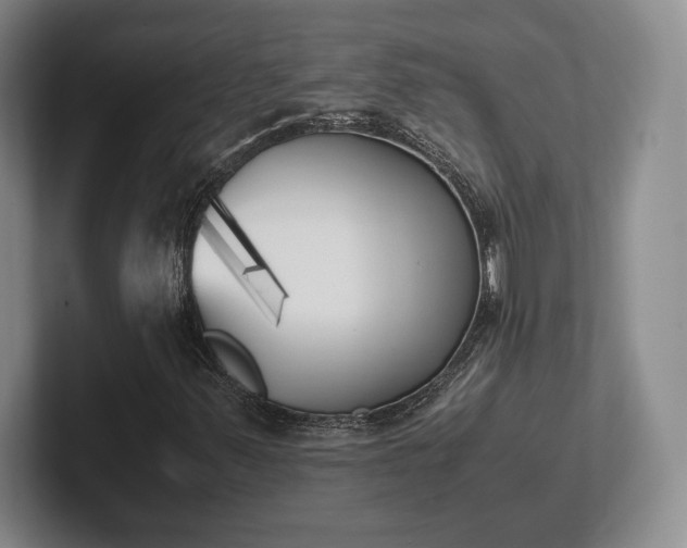 X0000102471347200808151419