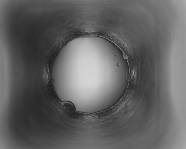 X0000102471348200808151419