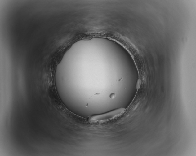 X0000102471350200808151419