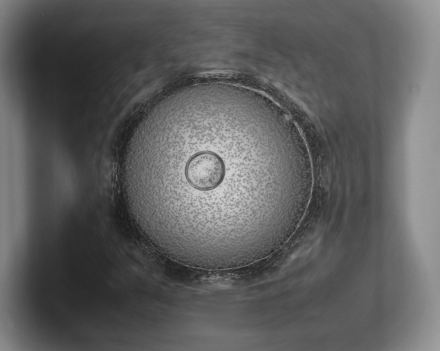 X0000102471351200808151419