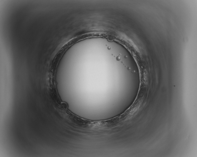 X0000102471352200808151419