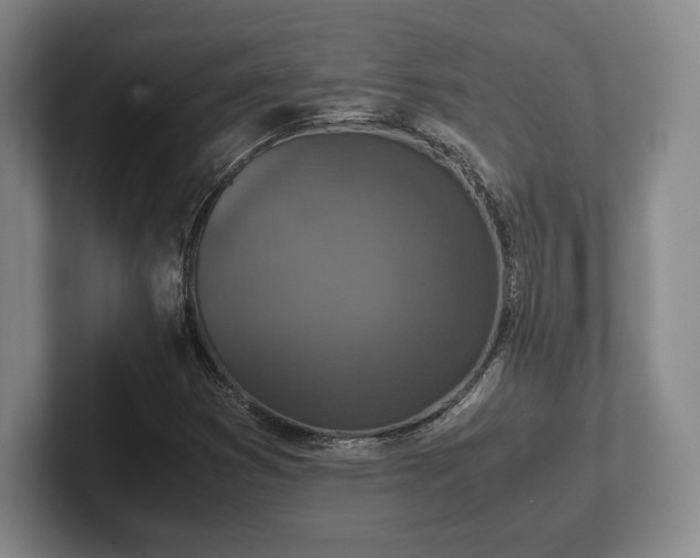 X0000102471353200808151419