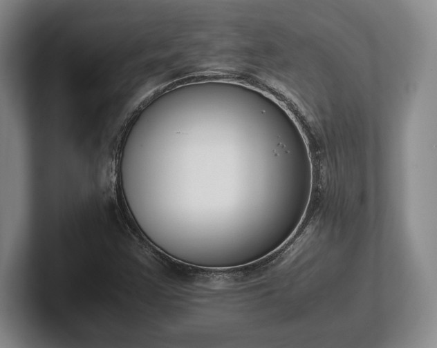 X0000102471355200808151419