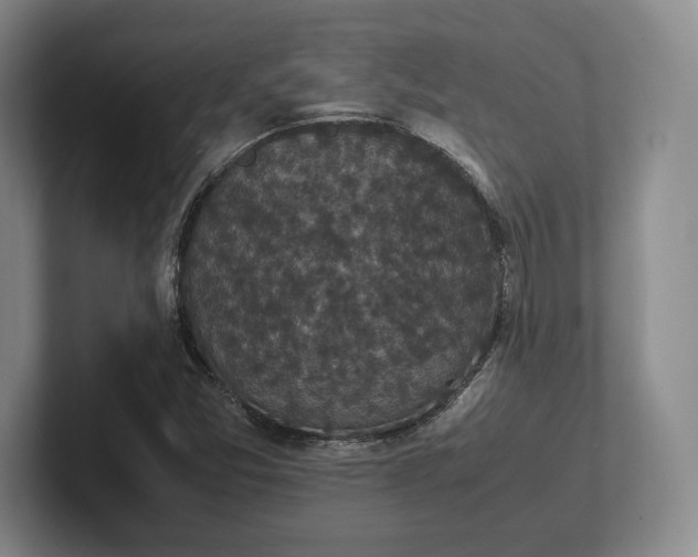 X0000102471357200808151419