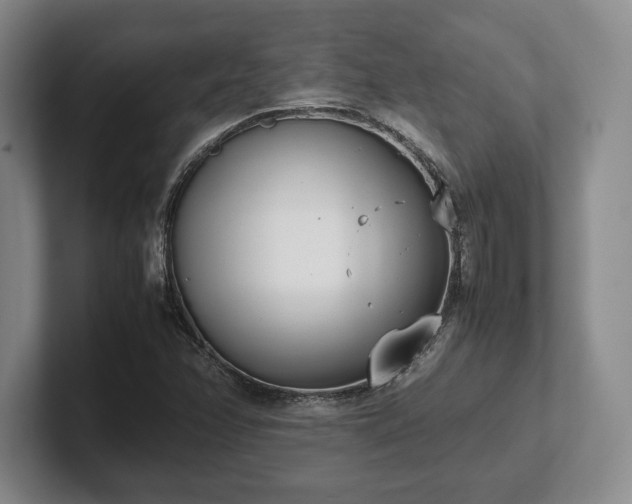 X0000102471358200808151419
