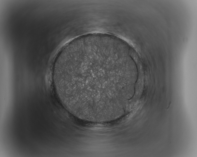 X0000102471359200808151419