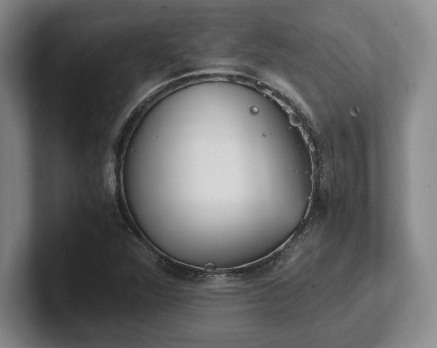 X0000102471360200808151419