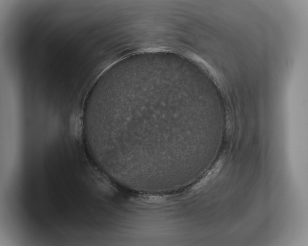 X0000102471361200808151419