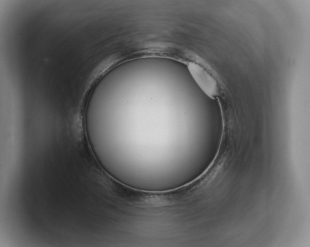 X0000102471362200808151419