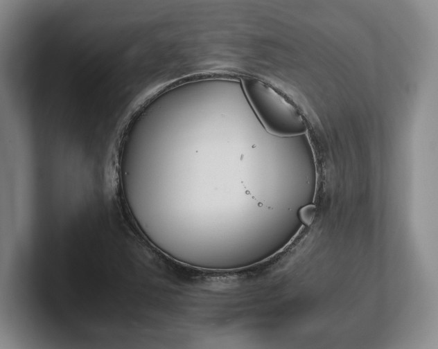 X0000102471363200808151419