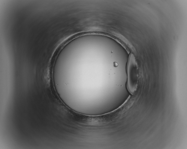 X0000102471364200808151419