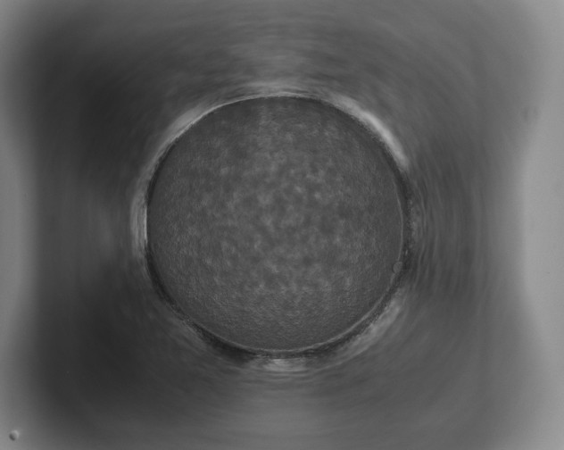X0000102471365200808151419