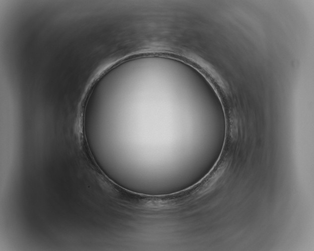 X0000102471366200808151419