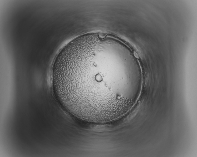 X0000102471367200808151419