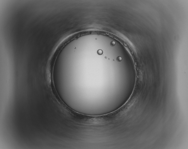 X0000102471368200808151419