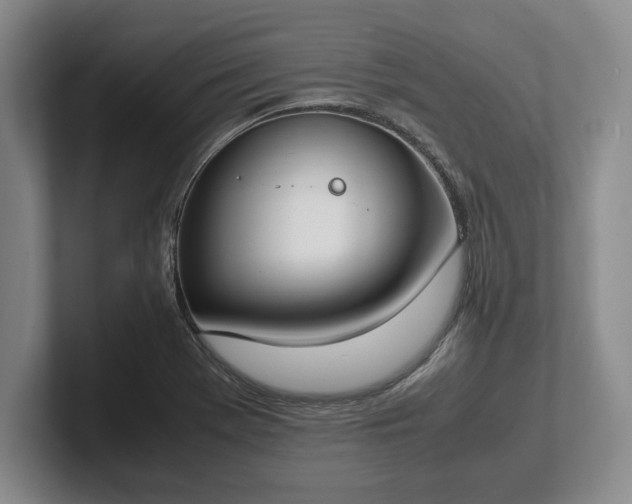 X0000102471369200808151419