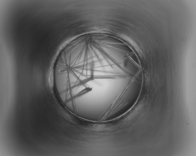 X0000102471371200808151419